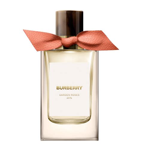 garden rose burberry